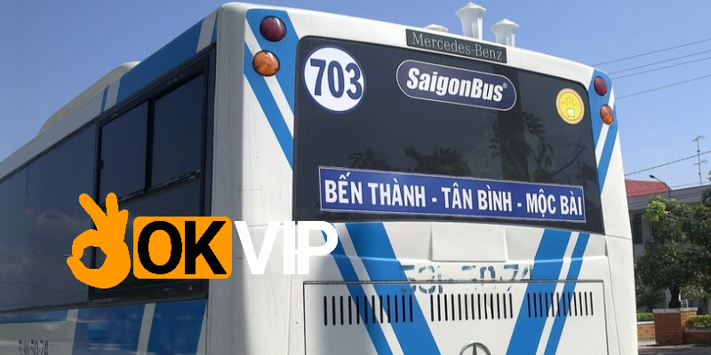 Xe bus 703 hỗ trợ đưa đón người dân có nhu cầu đi đến cửa khẩu Mộc Bài