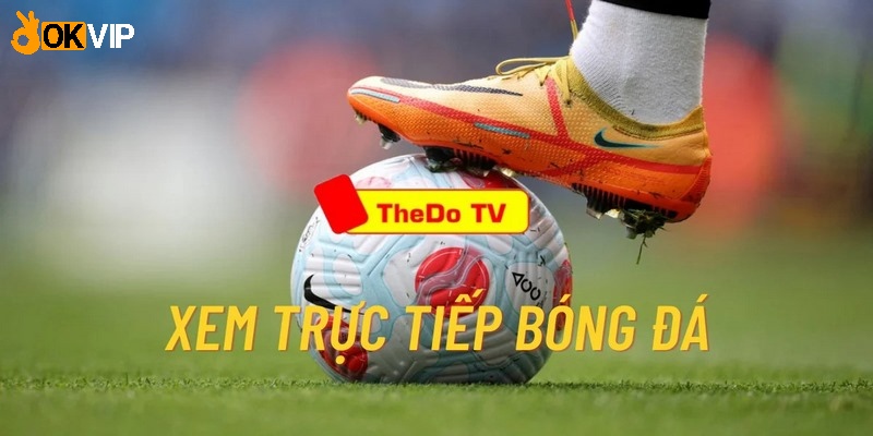 Trực tiếp các trận bóng đá hôm nay trên TheDo TV